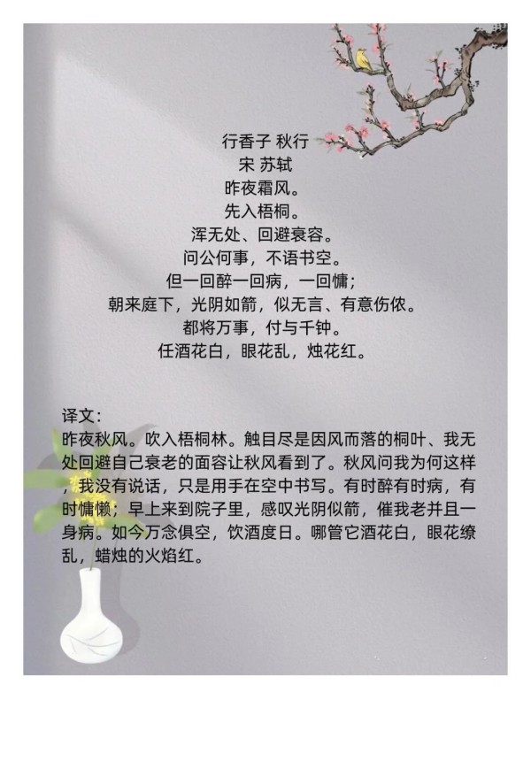 数据拟人化：当抽象数字变成艺术家