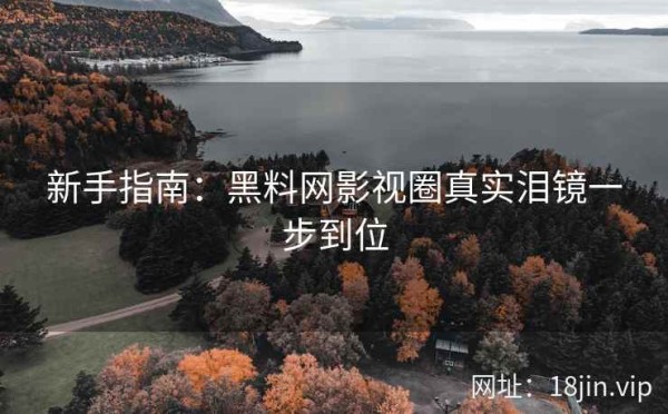 新手指南：黑料网影视圈真实泪镜一步到位