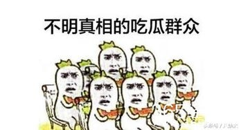 吃瓜群众娱乐星,娱乐明星现象的全民解读 第3张