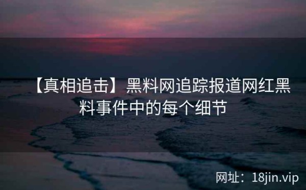 【真相追击】黑料网追踪报道网红黑料事件中的每个细节 第1张