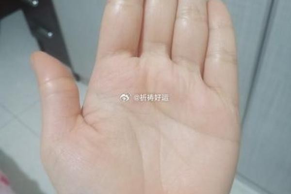 女星面相中的五官秘密揭示成功密码