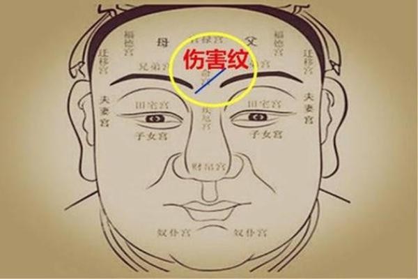王烁面相揭秘：揭秘明星面相密码，你也能读懂命运