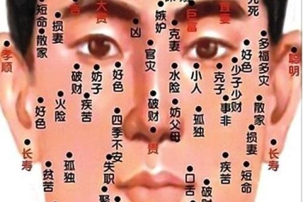 王烁面相揭秘：揭秘明星面相密码，你也能读懂命运
