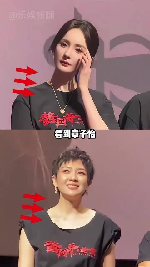 新片首映礼，将野心写在脸上的章子怡，就给内娱好好上了一课 杨幂