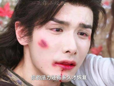 信徒倒在神明面前，临江仙白鹿花如月引热议