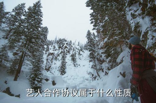  艺人合作协议属于什么性质