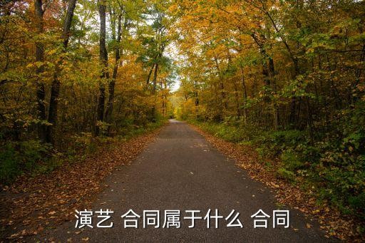演艺 合同属于什么 合同