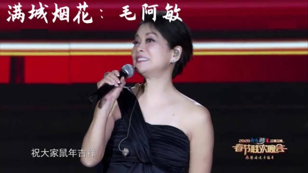 歌坛常青树毛阿敏