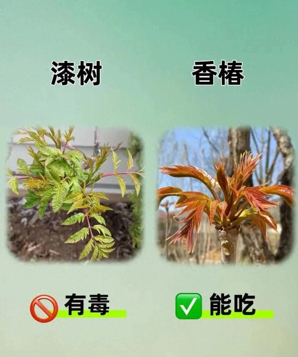 儒雅明月o668Y：流量明星：实力与流量，孰轻孰重？
流量明星，真的只是“流量”吗？看看那些动辄千万粉丝的顶流，他们真的没有实力，仅仅靠着颜值和营销就站稳脚跟？恐怕没那么简单。 2023年夏天，选秀节目再次成为热门话题，新一代偶像层出不穷。他们唱跳俱佳，舞台表现力炸裂。这让人不禁思考流量和实力，真的是对立的吗？

一个毫无才艺的“花瓶”，即使初期靠着炒作获得关注，又能走多远？没有持续输出的作品，粉...
