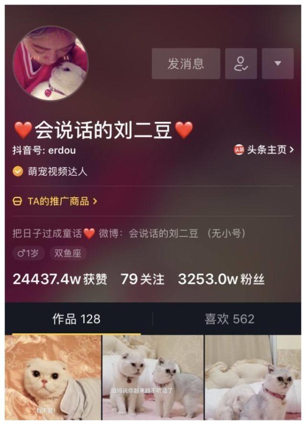 短视频网红排行榜，冯提莫居然输给了一只拥有3千万粉丝的喵星人