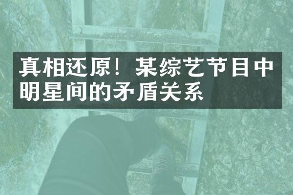 真相还原!某综艺节目中明星间的矛盾关系
