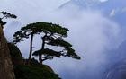 青海省高院原院长马有功逝世，享年91岁