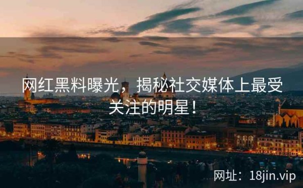 网红黑料曝光，揭秘社交媒体上最受关注的明星！ 第2张