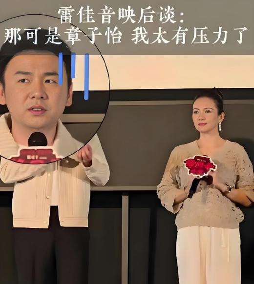 “我没真打章子怡”背后：雷佳音的无奈与高光！