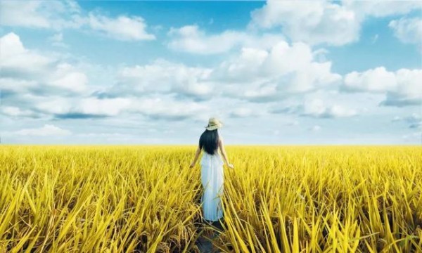 内容图片