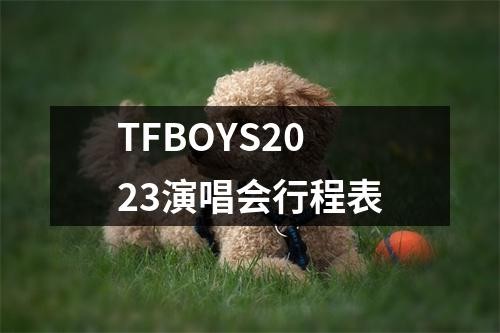 TFBOYS2023<a target=
