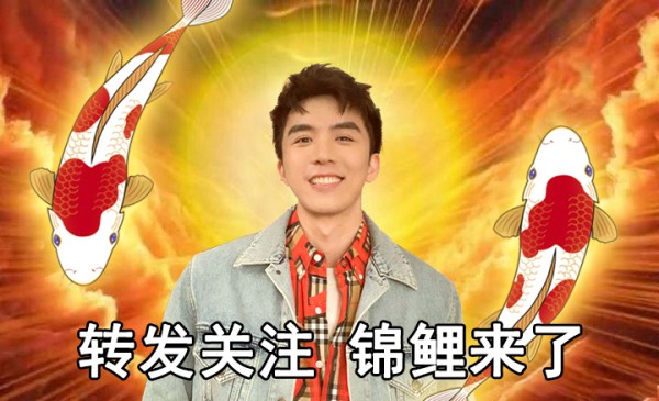 锦鲤为什么代表好运?锦鲤养几条最吉利 本文共(910字)