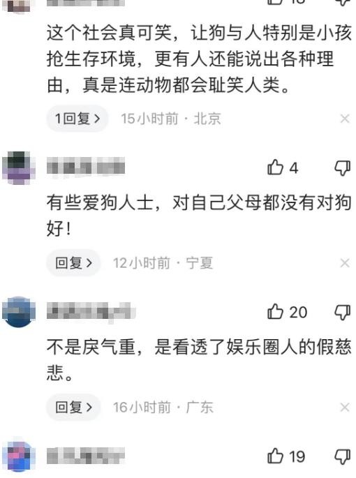 众星为流浪狗发声后续，杨迪刘雅瑟朱锐被禁言，疑因传播虚假消息