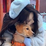 枕头公主猪猪包