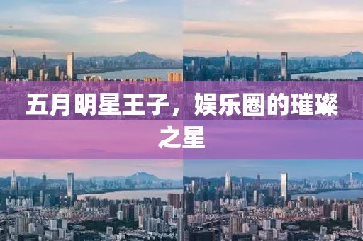 五月明星王子，娱乐圈的璀璨之星