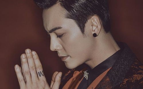 恋爱选什么星座明星男