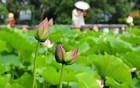 刚刚确认：马上杀到杭州！明天提前出门！