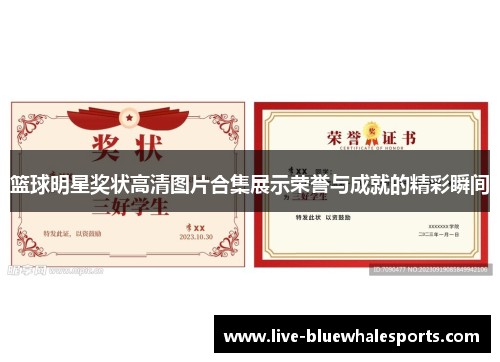 篮球明星奖状高清图片合集展示荣誉与成就的精彩瞬间