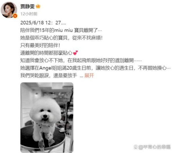 贾静雯发文悼念去世爱犬