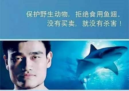 公益代言
