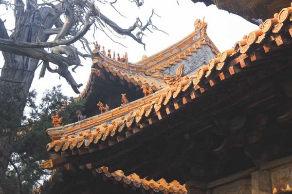 牛和马婚配的明星有哪些,牛马婚配的明星夫妻？