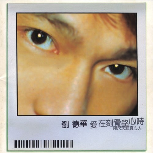 刘德华 爱在刻骨铭心时