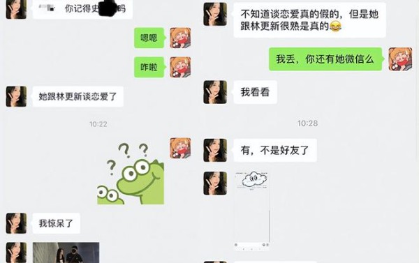 相差11岁的“巨人情侣”：林更新女友是选秀出身的史芮伊？