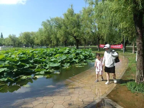 蛙鼓清池歌快慰 蝉鸣翠柳唱安详｜七律 夏至（外三首）