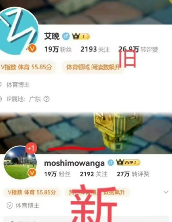 必须严惩！这一次，辱骂全红婵的记者，底裤都快被扒光了