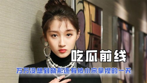 明星八卦吃瓜娱乐小说,揭秘明星幕后故事与八卦传奇