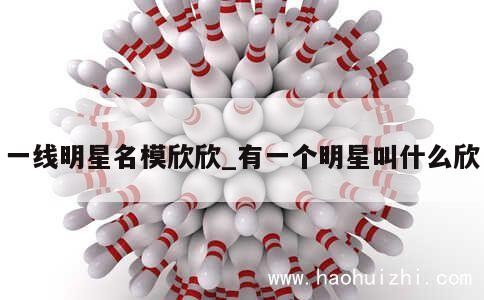 一线明星名模欣欣_有一个明星叫什么欣 第1张