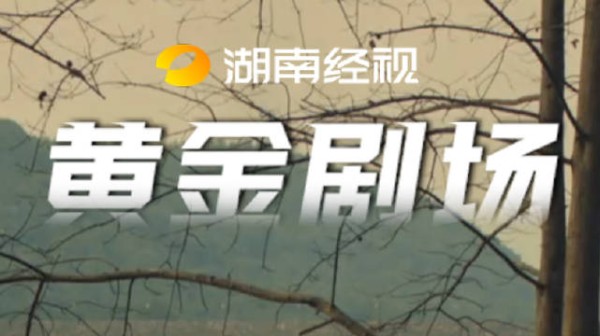发报机险暴露，陈卫身份惹怀疑