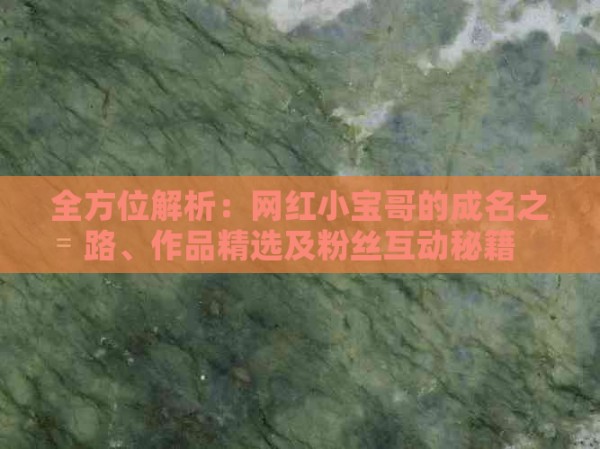 全方位解析：网红小宝哥的成名之路、作品精选及粉丝互动秘籍