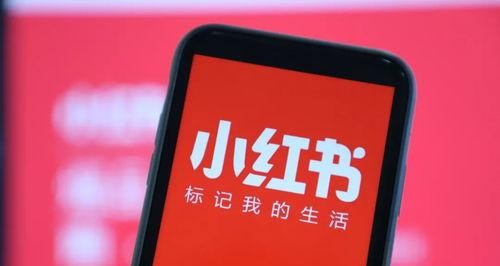  小红书内容营销如何进行？小红书内容营销策略详解