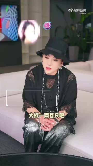 向太给孙子孙女买Labubu,给郭碧婷买了好几块地养宠物