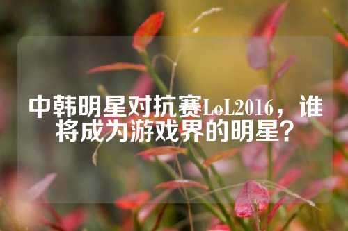 中韩明星对抗赛LoL2016，谁将成为游戏界的明星？