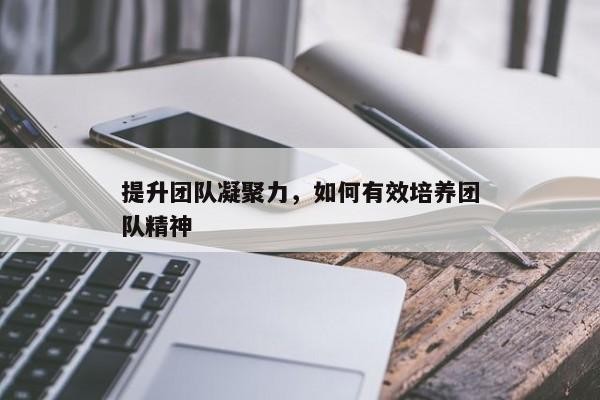 提升团队凝聚力，如何有效培养团队精神
