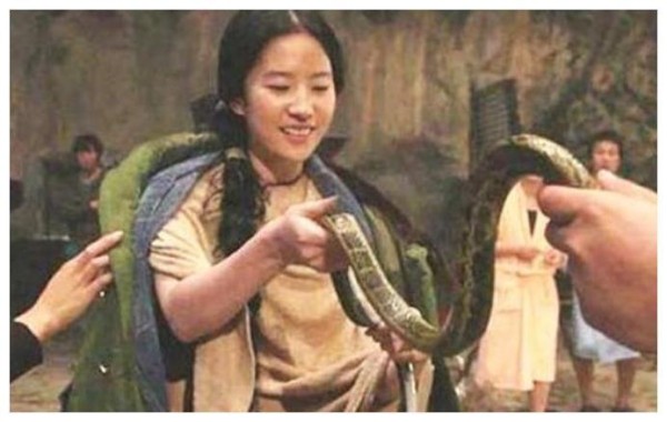女星片场休息都在干嘛？吴谨言在接吻，杨颖在抽烟，刘亦菲玩蛇