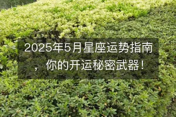 2025年5月星座运势指南，你的开运秘密武器！