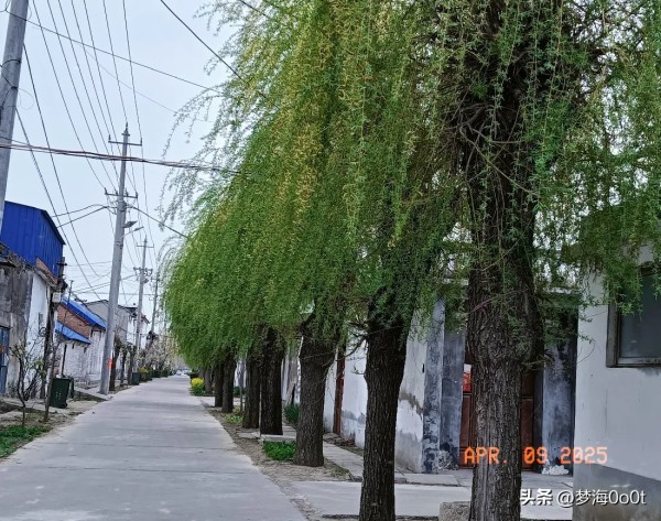 花椒情感知识：友们还为了找素材发愁嗎？以下是在这些平台上快速找到特定明星绯闻信息的一些方法：

1. 利用搜索功能：在这些平台的搜索栏中输入特定明星的名字，再加上关键词如“绯闻”、“恋情”、“八卦”等，系统会为您展示相关的文章和报道。

2. 关注特定明星的专题页面：部分平台会为热门明星设置专门的页面或话题标签，您可以直接进入该明星的专题页面，查找绯闻相关的内容。

3. 浏览热门话题或排行榜：一...