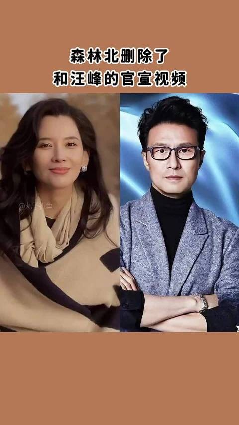 森林北删除了和汪峰官宣的视频！这么快就结束了？