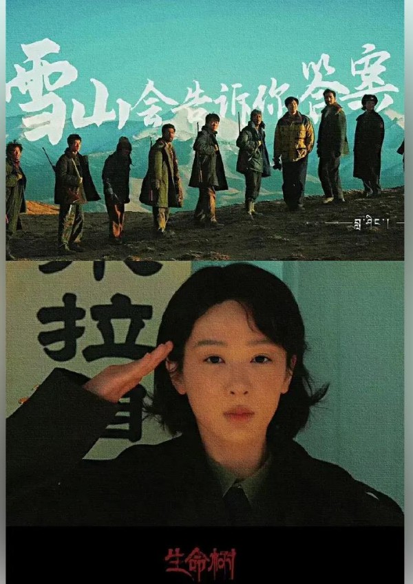 杨紫“手滑”险酿片场事故从胡歌幽默应对看观众为何痴迷“穿帮花絮”