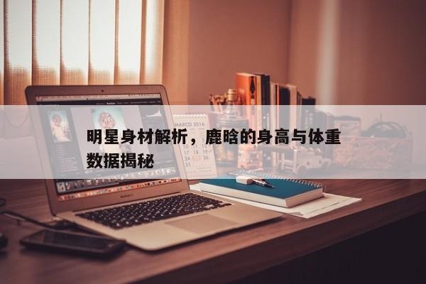 明星身材解析，鹿晗的身高与体重数据揭秘