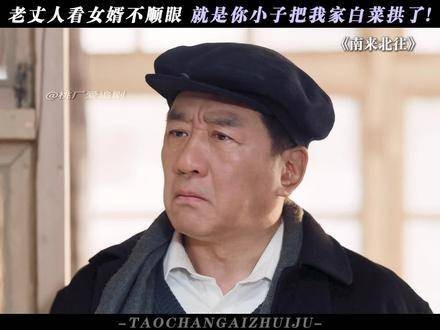 果然,老丈人看女婿,总是越看越不顺眼!