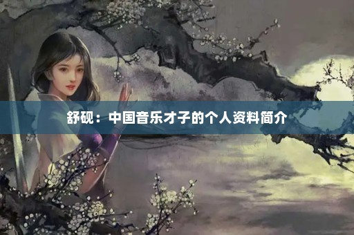 舒砚：中国音乐才子的个人资料简介